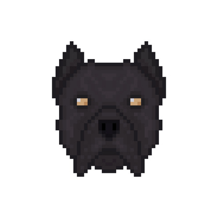 Dog Cane Corso head in pixel art style. Vector illustration.のイラスト素材