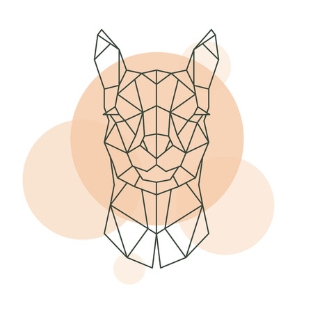 Geometric head of Alpaca. Wild animal. Vector illustration.のイラスト素材