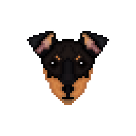 Portrait of a Manchester terrier in pixel art style.Vector illustration.のイラスト素材