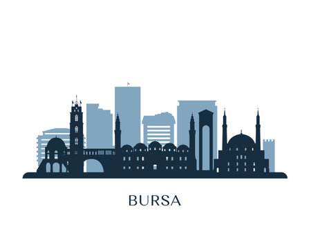 Bursa skyline, monochrome silhouette. Vector illustration.のイラスト素材