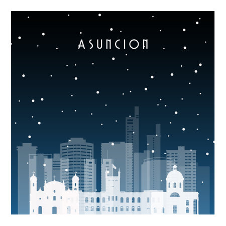Winter night in Asuncion. Night city in flat style for banner, poster, illustration, background.のイラスト素材