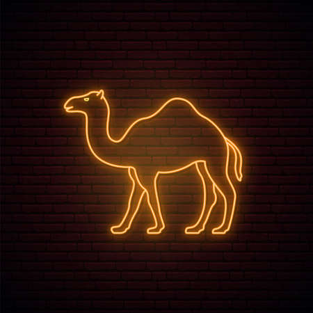 Neon camel sign. Glowing camel icon on dark brick wall background. Neon signboard. Vector illustration.のイラスト素材