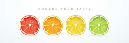 Grapefruit, orange, lemon and lime cutaway isolated on white background. Fresh Citrus Fruits slices. Set of summer fruits. Vector illustration.のイラスト素材