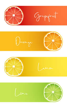 Banners with fresh fruits of Grapefruit, Orange, Lemon and Lime. Elements for infographics. Stock vector illustration.のイラスト素材