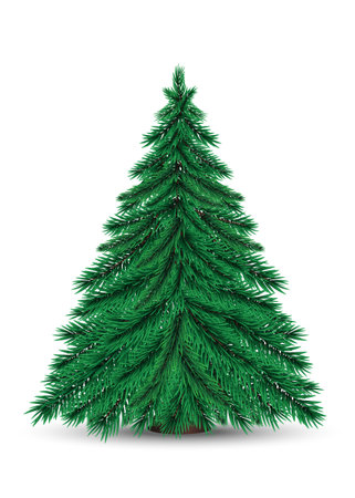 Real Christmas spruce tree on stand. Attributes of Christmas and New year. Great for invitation, card, product packaging, header, poster, banners and etc. Realistic pine tree.のイラスト素材
