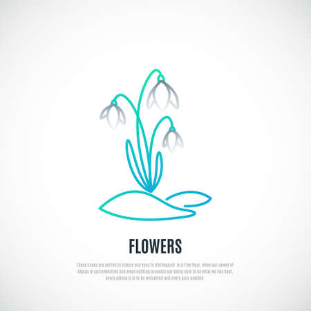 Snowdrop flower isolated on white background. beautiful spring flower. vector illustration.のイラスト素材