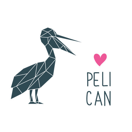 Pelican in polygonal style. Wild bird low poly vector. Pelican simple illustration.のイラスト素材