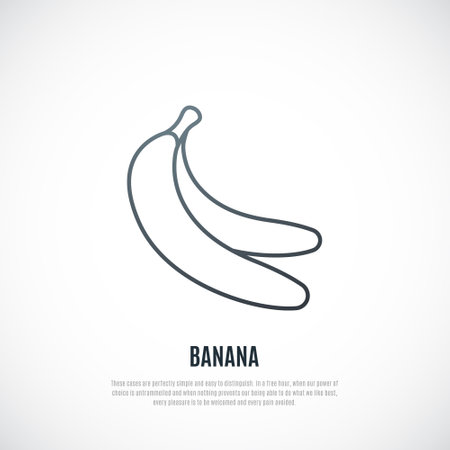 Simple illustration of banana pair. Healthy food symbol. Vector Bananas icon in thin line style.のイラスト素材
