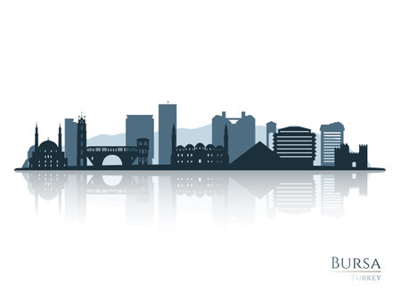 Bursa skyline silhouette with reflection. Landscape Bursa, Turkey. vector illustration.のイラスト素材