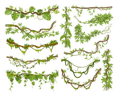 Cartoon jungle liana plants, tropical climbing creepers branches. Exotic plants with moss, flowers and jungle leaves vector illustrations set. Rainforest liana branch vinesのイラスト素材