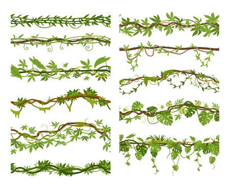 Tropical liana branches cartoon borders, creepers seamless dividers. Jungle hanging roots vegetated green foliage and flowers vector illustration set. Rainforest garden liana plantsのイラスト素材