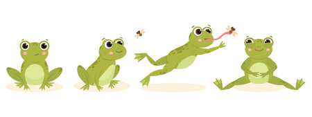 Cartoon cute hunting frog, amphibian carnivore catch insects. Green water animal food chain, hungry frog flat vector illustration. Frog nutrition processのイラスト素材