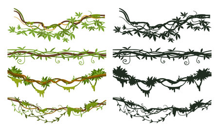 Cartoon jungle liana dividers hanging creeper branches. Jungle rainforest green liana plants with flowers and foliage flat vector illustration set. Tropical lianas silhouettesのイラスト素材