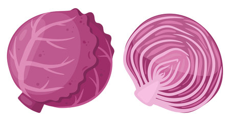 Cartoon red cabbage. Fresh vegetable, whole veggie and half, tasty vegetables for healthy lifestyle flat vector illustration on white backgroundのイラスト素材