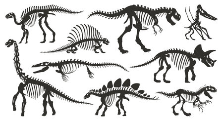 Cartoon dino skeleton silhouettes. Ancient dinosaur fossil bones, jurassic tyrannosaurus, velociraptor, spinosaurus black silhouette flat vector illustration set on white backgroundのイラスト素材