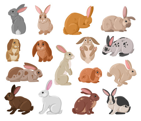 Cartoon cute rabbits. Wildlife funny bunny, spring eared hare animals, white and brown fur domestic bunnies flat vector illustration set. spring holiday rabbit collectionのイラスト素材