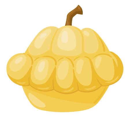 cartoon squash. Yellow pumpkin vegetable, fresh raw organic vegetable for healthy lifestyle flat vector illustration on white backgroundのイラスト素材