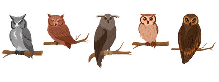 Cartoon owls sitting on branches. Wildlife birds species, feathered animals, wise forest owls flat vector illustration on white backgroundのイラスト素材
