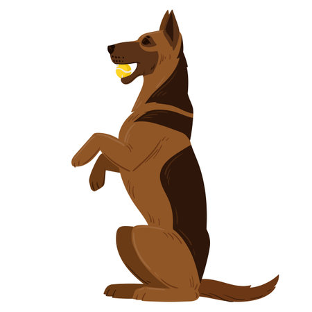 Cartoon playing german shepherd. Cute service dog breed, purebred domestic pet. German shepherd playing with ball flat vector illustrationのイラスト素材