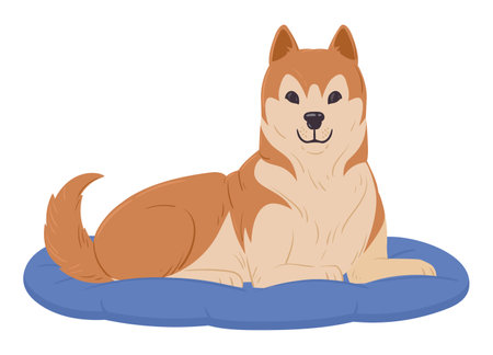 Cartoon akita inu lies in bed. Cute akita resting in dog bed, purebred domestic pet flat vector illustrationのイラスト素材