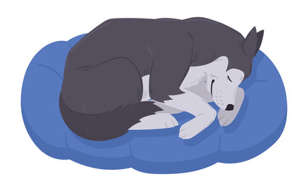 Cartoon sleeping husky. Cute resting husky dog, sleeping on dog bed husky pet, happy domestic pedigree puppy flat vector illustrationのイラスト素材
