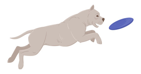 playing pitbull. Cartoon active domestic puppy playing with flip board, happy energetic american staffordshire terrier flat vector illustrationのイラスト素材