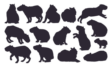 Capybara silhouettes. Semi-aquatic capybara wild animals cute animals, cute mammal hydrochoerus stencil flat vector illustration set. Capybara rodent silhouette collectionのイラスト素材