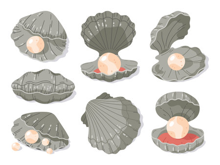 Scallop seashell with pearls. Open shells with precious pearl, clam sea shellfish. Marine fauna flat vector illustration collectionのイラスト素材