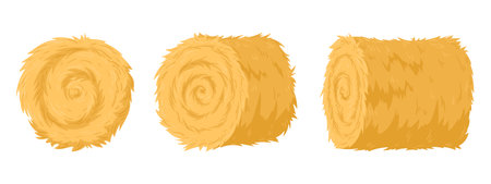 Rolled haycock. Agricultural straw stack, bale of hay from different angles. Rural haystack, dried farm haystack flat vector illustration setのイラスト素材