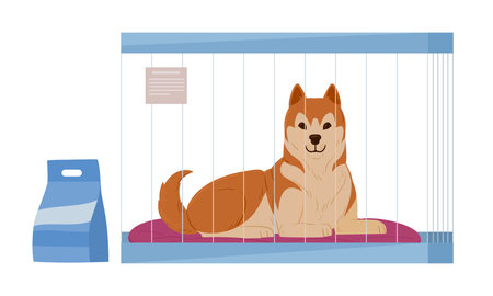 Akita inu in dog cage. Pet shop or dog help adoption shelter, cute akita puppy in dog hotel flat vector illustrationのイラスト素材