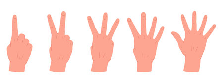 Counting hands gestures. Cartoon hand palms with count from one to five gestures. Human hands with countdown gestures flat vector illustration setのイラスト素材