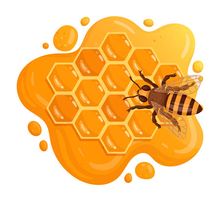 Honey bee sitting on honeycomb. Cartoon honey comb with sweet melting honey, honeycraft and beekeeping flat vector illustrationのイラスト素材