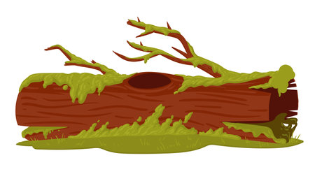 Wood trunk with moss. Cartoon swamp moss growing on rotten log. Rainy forest lichen plants grows on wooden log flat vector illustrationのイラスト素材