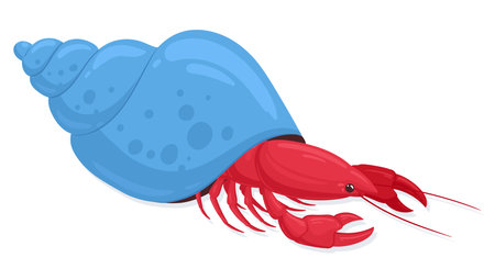 Hermit crab. Cartoon crayfish with shell, underwater marine fauna flat vector illustration on white backgroundのイラスト素材