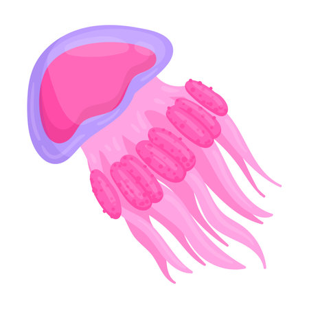 Pink jellyfish. Cartoon underwater animal, cute ocean jellyfish floating in water flat vector illustration. Undersea faunaのイラスト素材