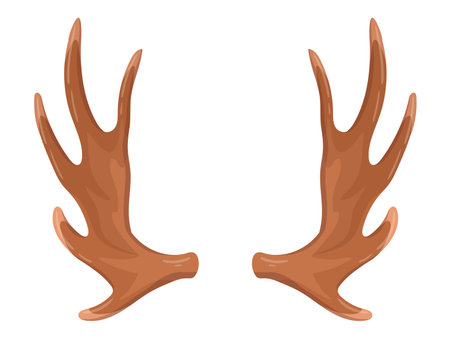 Cartoon deer horns. Wild animal horn, reindeer antlers, hunting trophy flat vector illustration. Animal hornsのイラスト素材