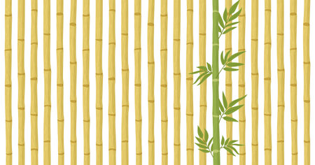 Bamboo forest pattern. Dry bamboo stalks and green bamboo shoot with fresh leaves flat vector background illustration. Cartoon bamboo backdropのイラスト素材