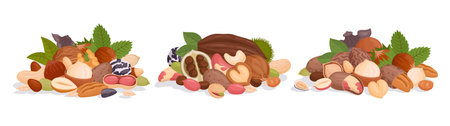 Nuts bunches. Seeds and nuts handfuls, cashew, peanut and walnut mix, delicious vegetarian nuts mix flat vector illustration set. Raw nuts and seeds bunch collectionのイラスト素材