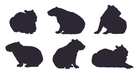 Wild capybara silhouettes. Cartoon cute capybara mammals stencil flat vector illustration set. Semi-aquatic capybara animals silhouette collectionのイラスト素材