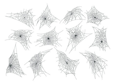 Horror spider web. Halloween spooky cobweb decor flat vector illustration set. Halloween october party hanging spider web collectionのイラスト素材