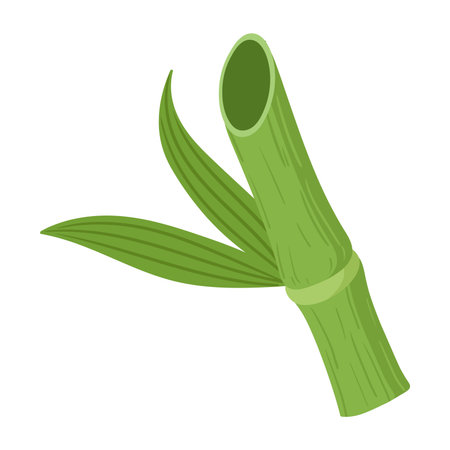 Bamboo plant. Natural green bamboo sprout, bamboo stem with green leaves flat vector illustration. Cartoon bamboo shoot on white backgroundのイラスト素材