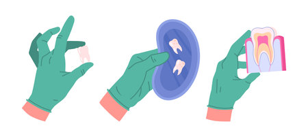Dentist holding dental instruments. Dentist hands in rubber gloves holding dental equipment flat...
