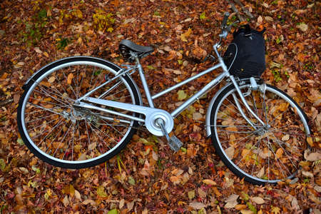 bicycle in autumn park at japanの写真素材