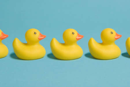 rubber ducks in a rowの写真素材