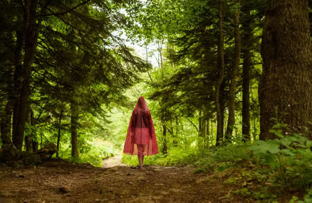 Red riding hood walks through enchanted forestの写真素材