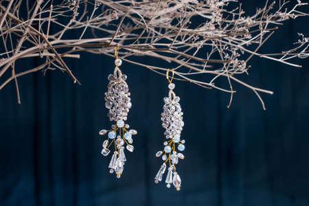 Earrings of costume jewelry and wedding accessoriesの写真素材