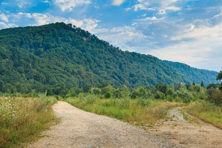 Landscape of subalpine mountain meadow and forest in Caucasus, Russiaの写真素材