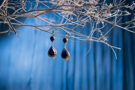 Earrings of costume jewelry and wedding accessoriesの写真素材