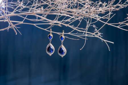 Earrings of costume jewelryの写真素材