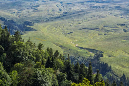 Scenic landscape with mountain forestの写真素材